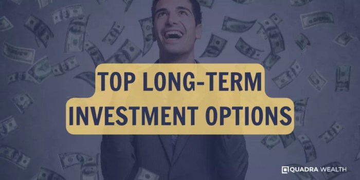Term lungo investimento termine financial vettore castings pianificazione denaro costituisce concetto risparmio pensione