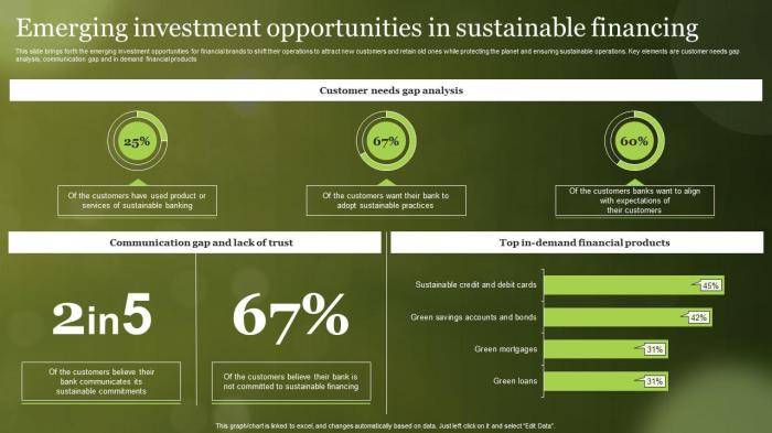Responsible sustainable economy roadmap investing calmatters
