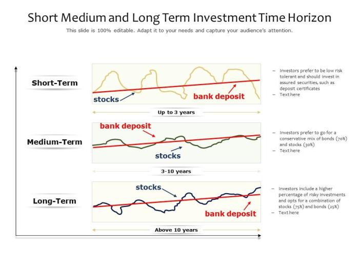 Allocation optimal horizon wealth investopedia mania
